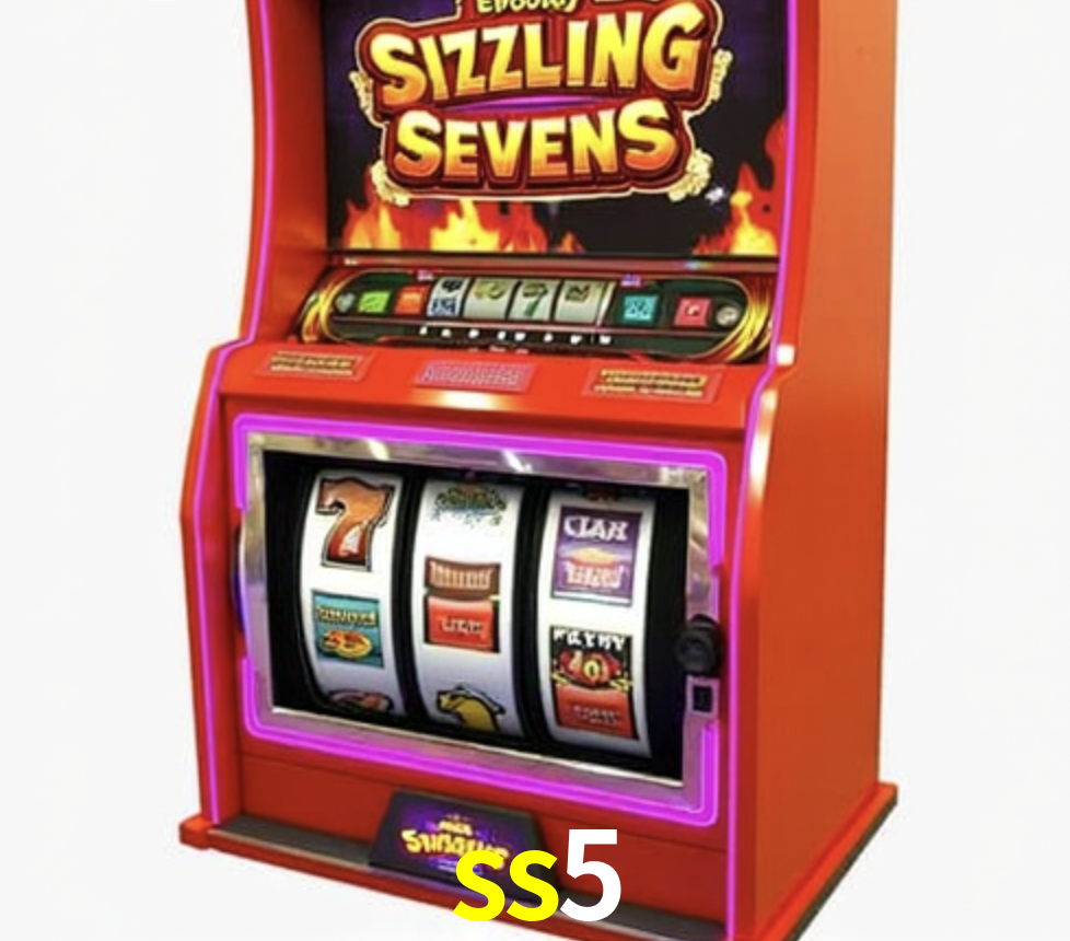 Security Systems ss5